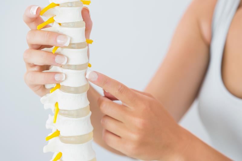about our chiropractic office  Tacoma, WA 