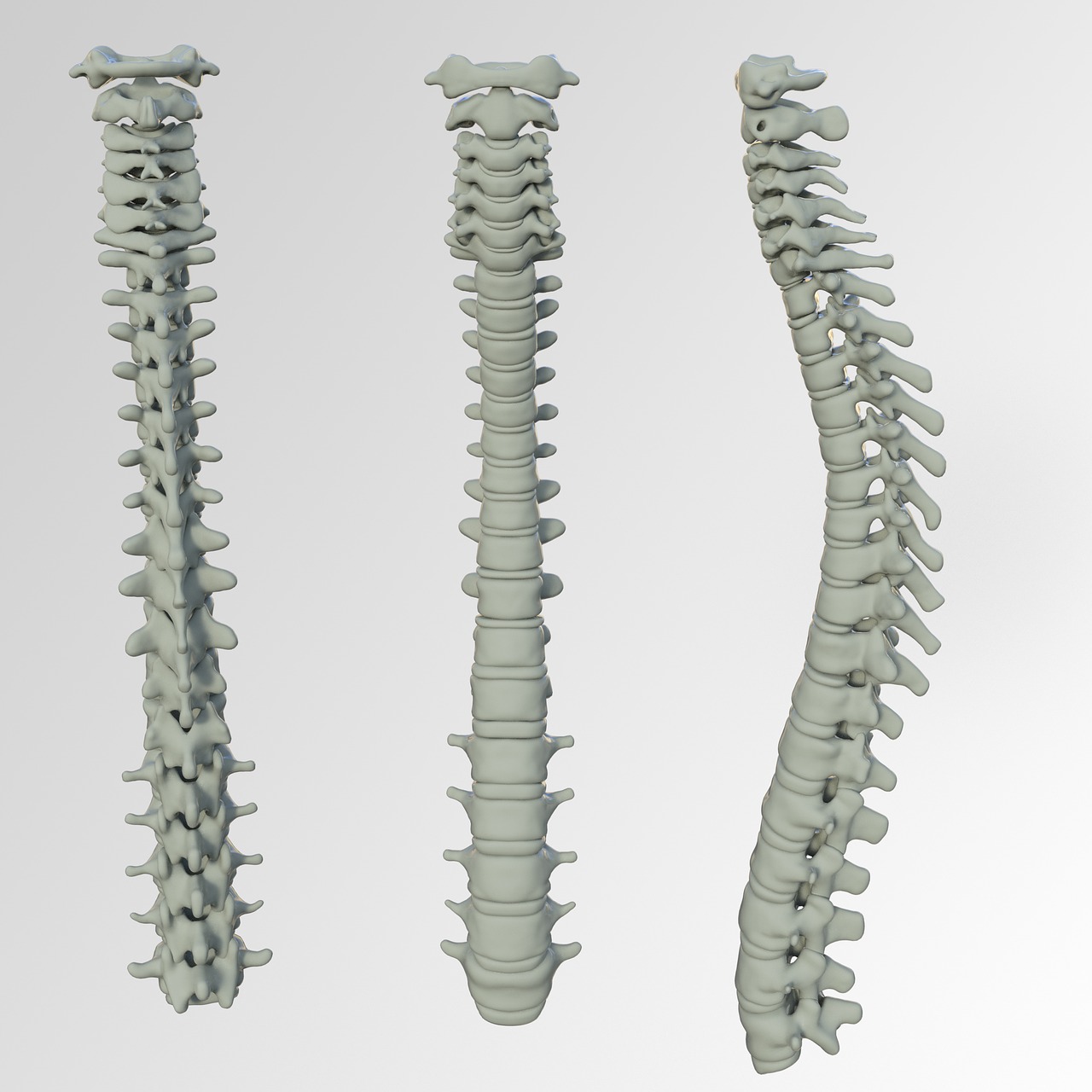 Spinal Screenings  Tacoma, WA 